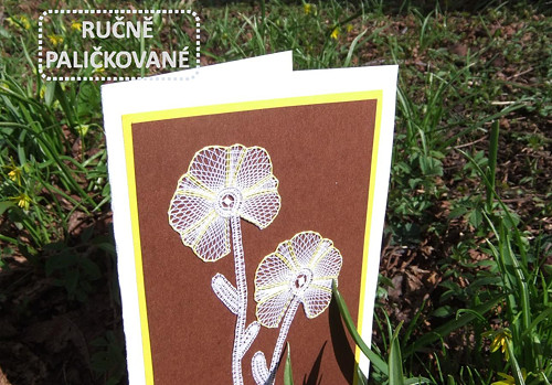 Gratulace - Přímo z louky — foto 5