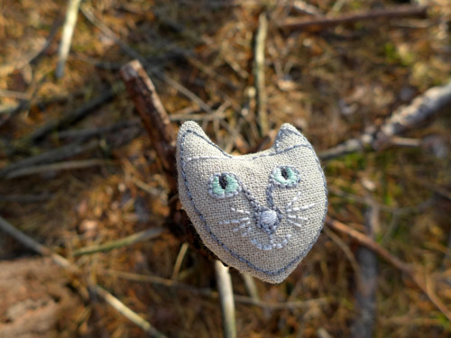 Z lesa/divoká kočka. — foto 3
