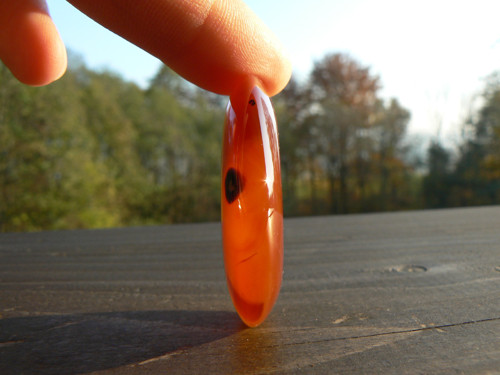 Karneol placka — foto 5