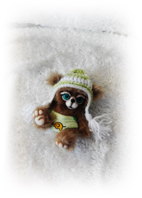 Gusťa :) — foto 4