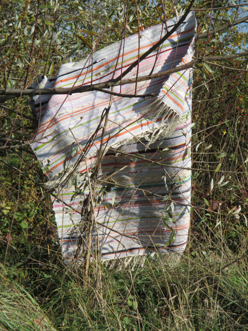 Ve vrbinách — foto 2