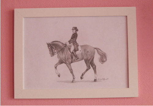 Discipline - Dressage — foto 2