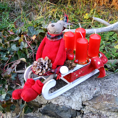 Advent - Sob na saních — foto 4