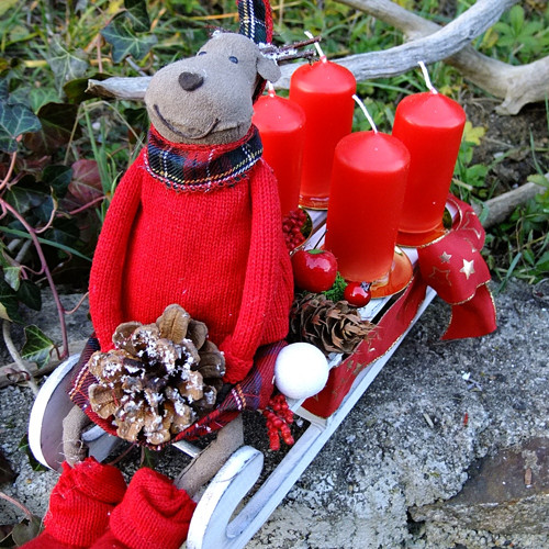 Advent - Sob na saních — foto 5