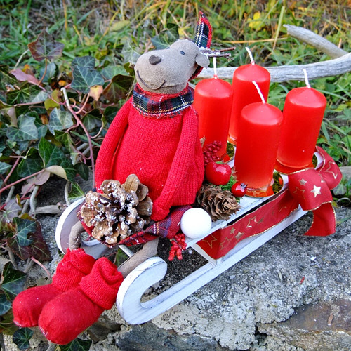 Advent - Sob na saních — foto 6