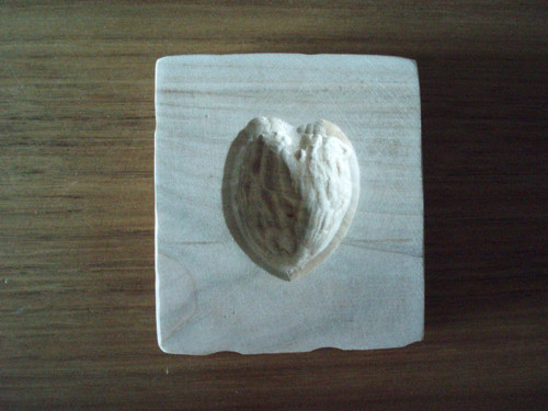 Pro milovníky ořechů :-) — foto 2