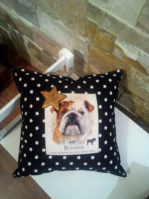 Polštářek BULDOG:-) — foto 2