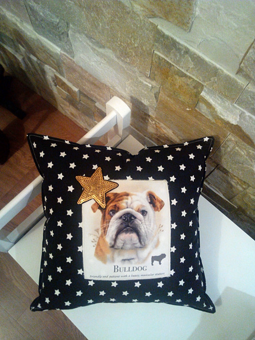 Polštářek BULDOG:-) — foto 3