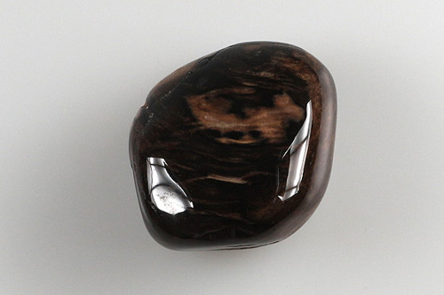 Zkamenělé dřevo 4 cm — foto 2