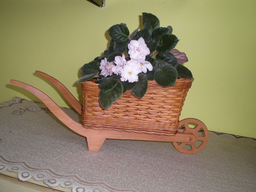 Trakař větší — foto 2