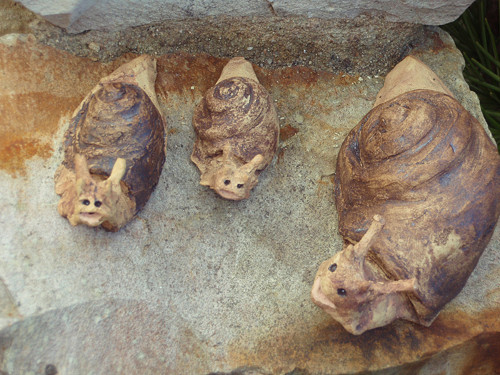 Šnečí rodinka — foto 2
