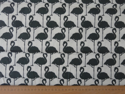 Plameňáci na krémové — foto 2