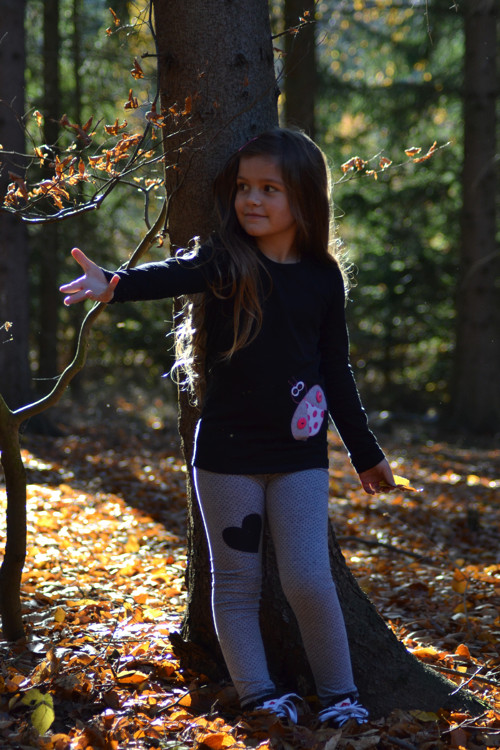Triko s beruškou — foto 4