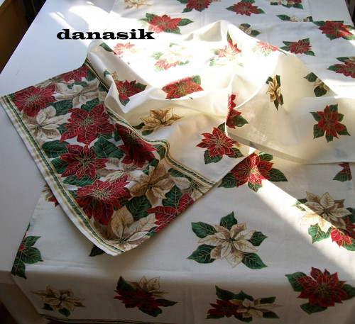 VÁNOČNÍ HVĚZDY - 2 BĚHOUNY — foto 2