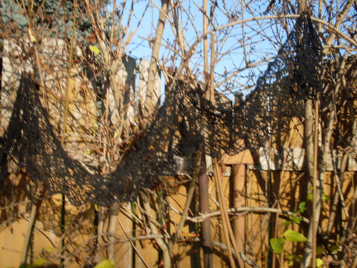Krajkový šál — foto 2