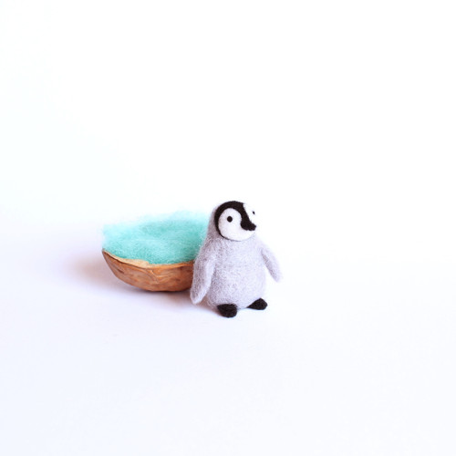 Mini tučňáček — foto 2