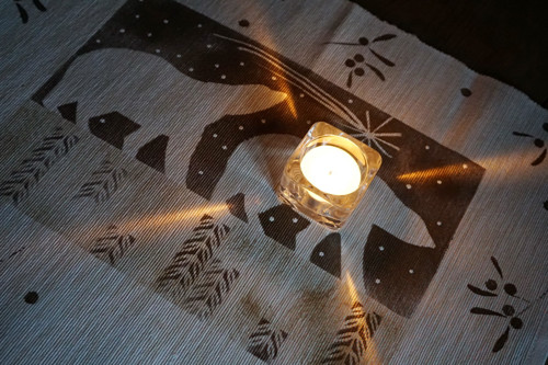 Lední medvědi v mosazné — foto 3