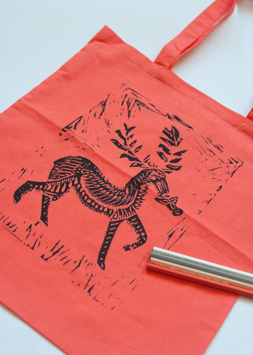 Nákupka Mr. Jelen Salmon — foto 2