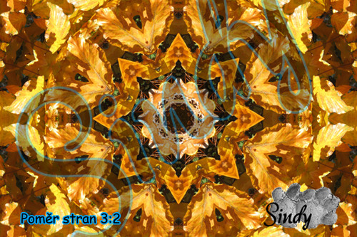Podzimní mandala bukových listů 024 — foto 2