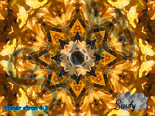 Podzimní mandala bukových listů 024 — foto 3