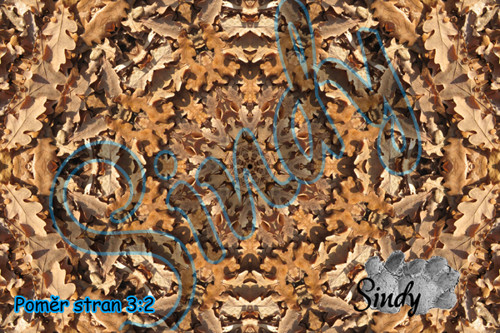 Podzimní mandala dubových listů 025 — foto 2