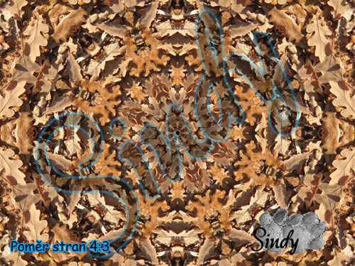 Podzimní mandala dubových listů 025 — foto 3