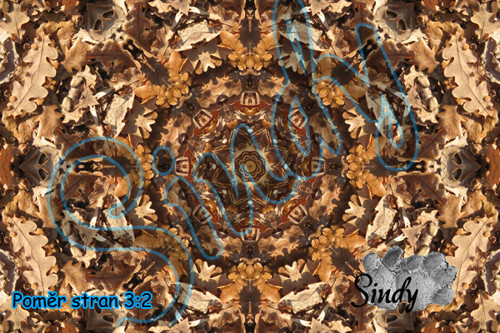 Podzimní mandala dubových listů 026 — foto 2