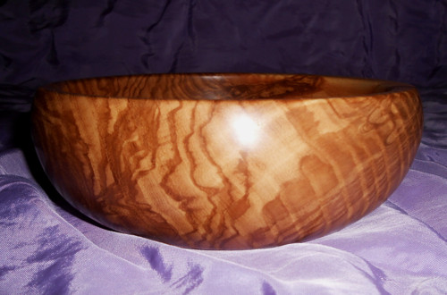 Jasanová zaoblená — foto 2