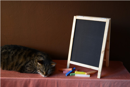 Áčko — foto 3