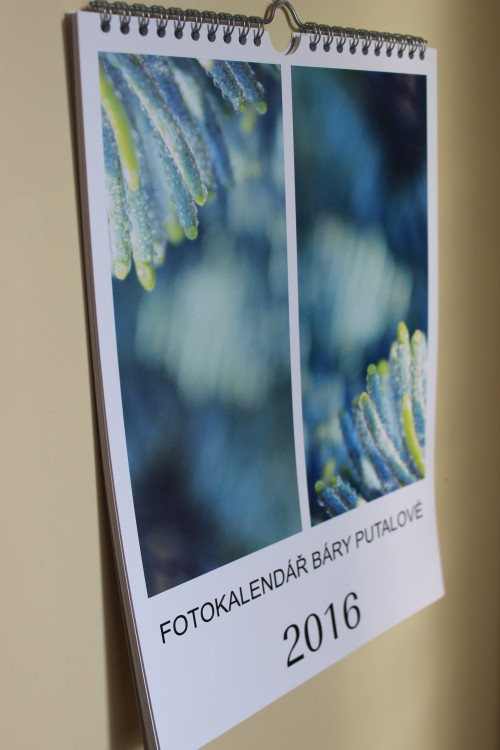 F o t o kalendář 2016 — foto 3
