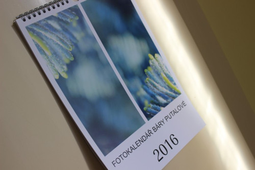 F o t o kalendář 2016 — foto 4
