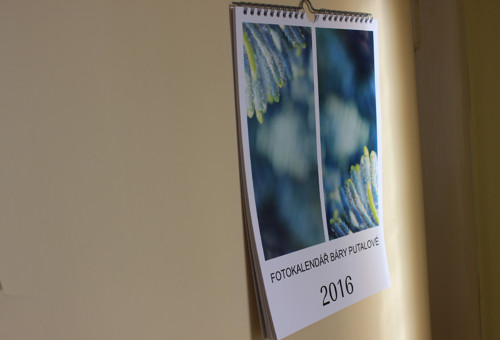 F o t o kalendář 2016 — foto 5