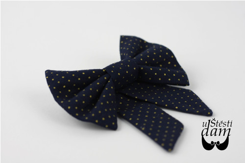 Brožka "Blue and Golden Dots" — foto 2