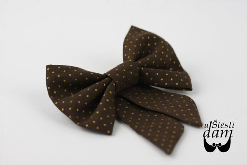 Brožka "Brown and Golden Dots" — foto 2