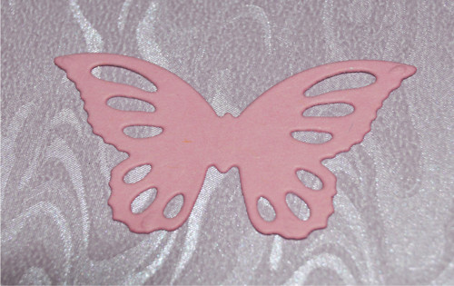 Výsek motýl - motýl — foto 2