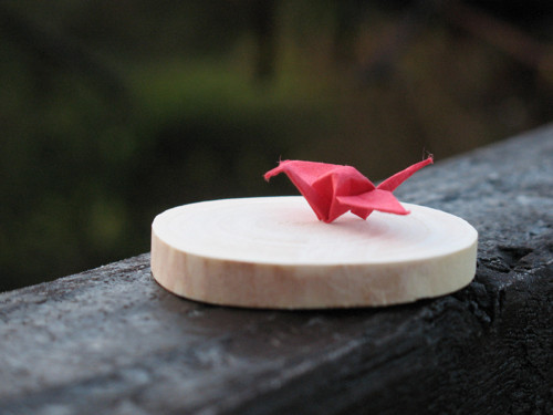 Brož - Origami — foto 2
