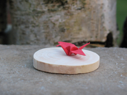 Brož - Origami — foto 5