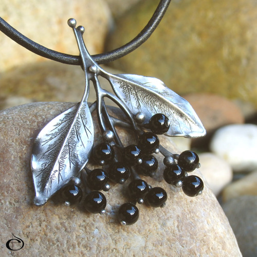 Sambucus nigra — foto 2