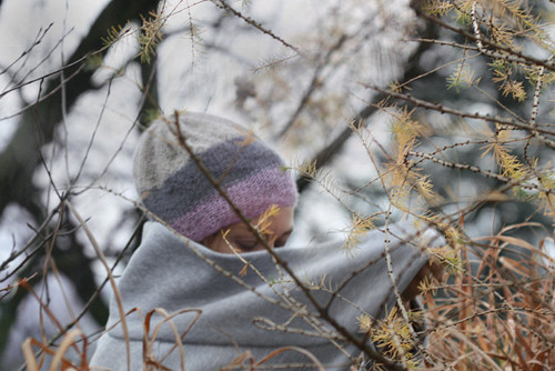 Pápěří/čapulka - suri alpaka. — foto 6