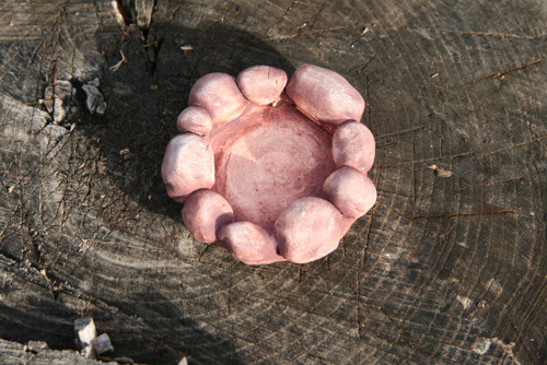 Ohniště — foto 2