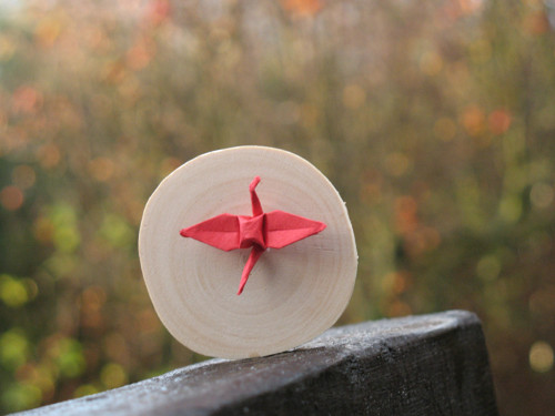 Brož - Origami — foto 6