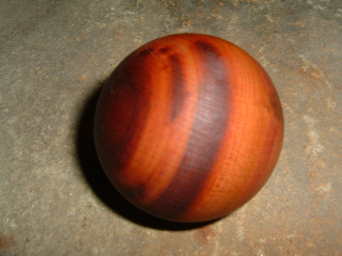Duhovka střední — foto 2
