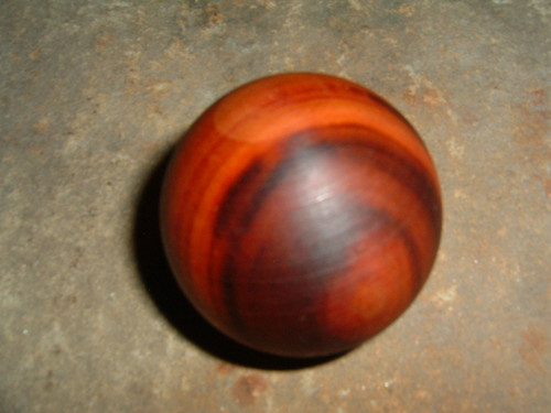 Duhovka menší — foto 3
