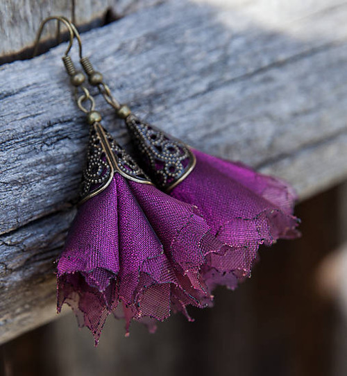 Tanečnice purpurové — foto 3