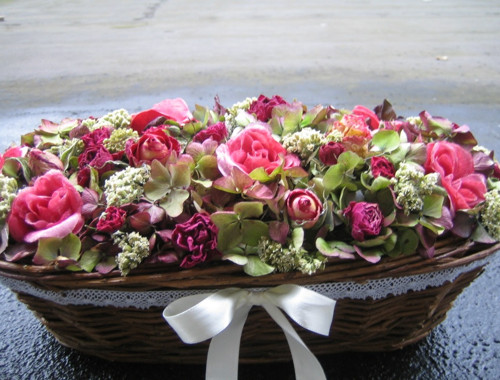 Růžové pohlazení.. — foto 2