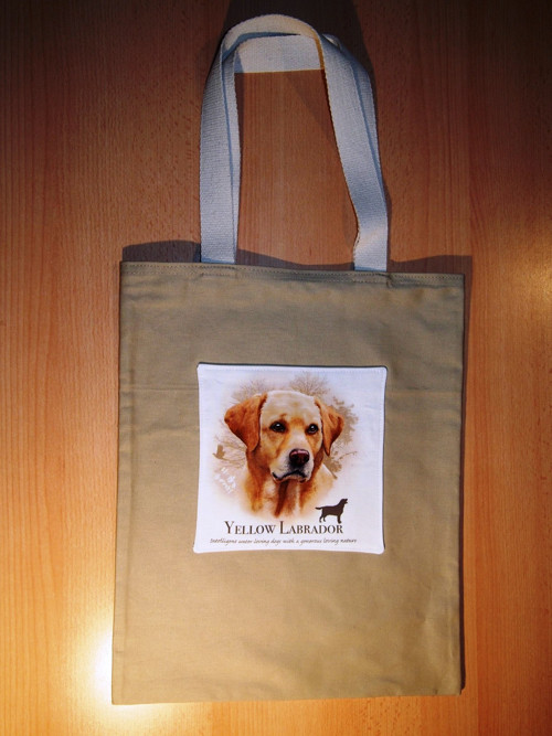 Yellow labrador — foto 2