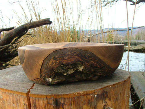 Orechová kulatá — foto 3