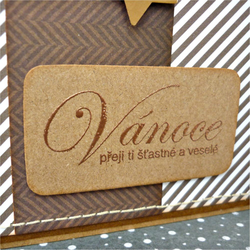 Vánoční přání: hvězdné REZERVACE — foto 2