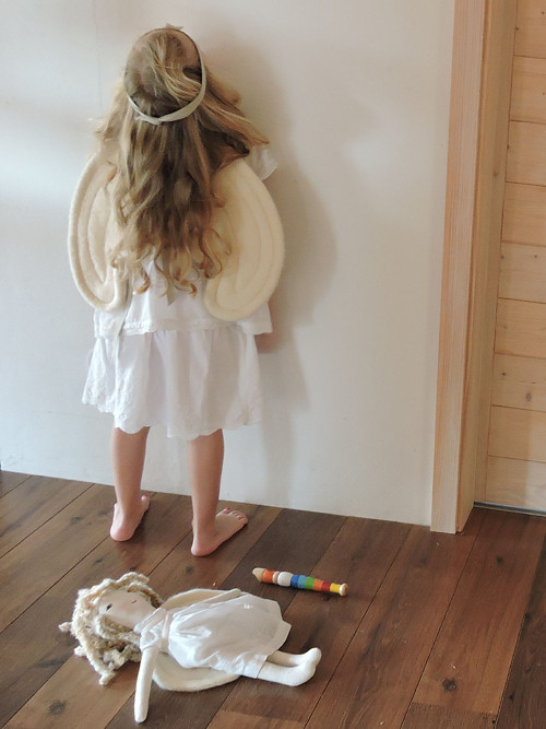 Andělská křídla a hvězdička — foto 5