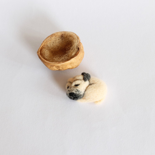 Mini mopsík — foto 2
